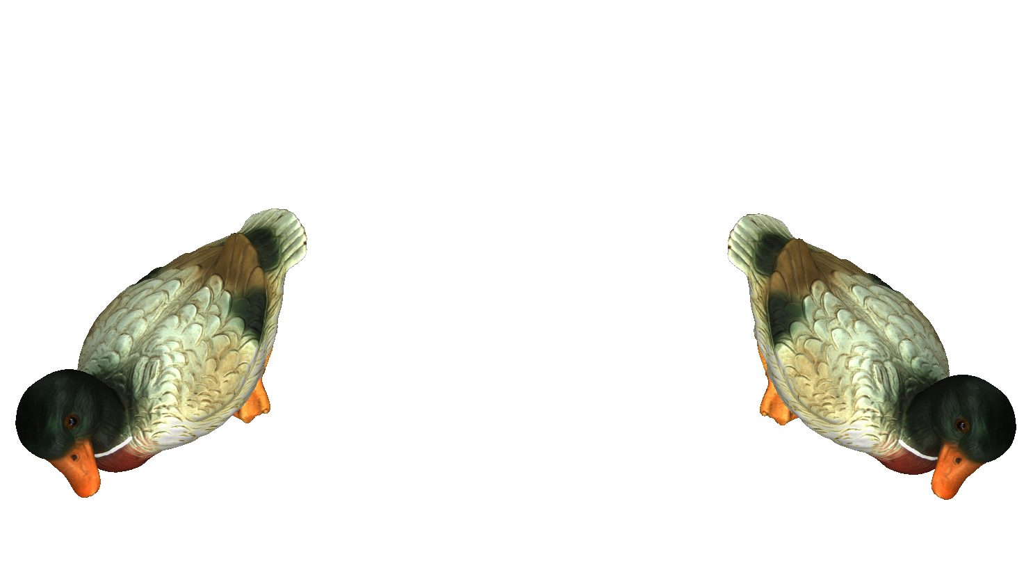 _images/5_mirror.png